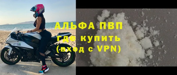 ПСИЛОЦИБИНОВЫЕ ГРИБЫ Каменка