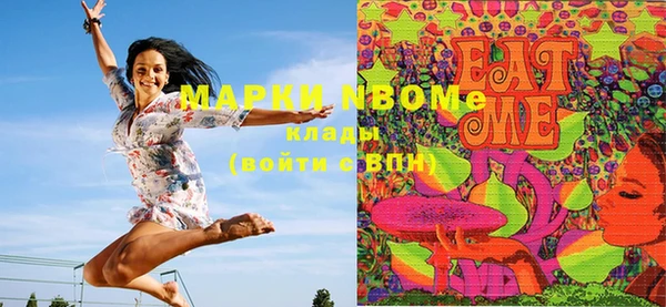 ПСИЛОЦИБИНОВЫЕ ГРИБЫ Каменка