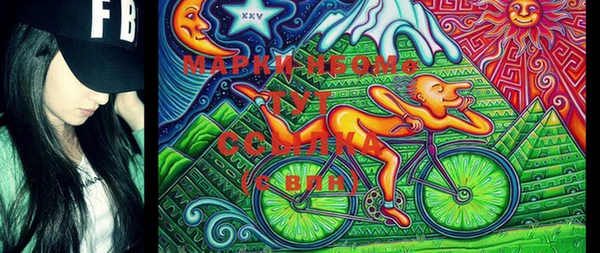 ПСИЛОЦИБИНОВЫЕ ГРИБЫ Каменка