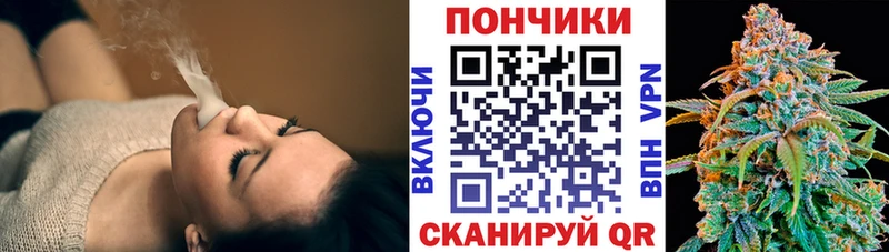 Каннабис планчик  Купить  Димитровград 